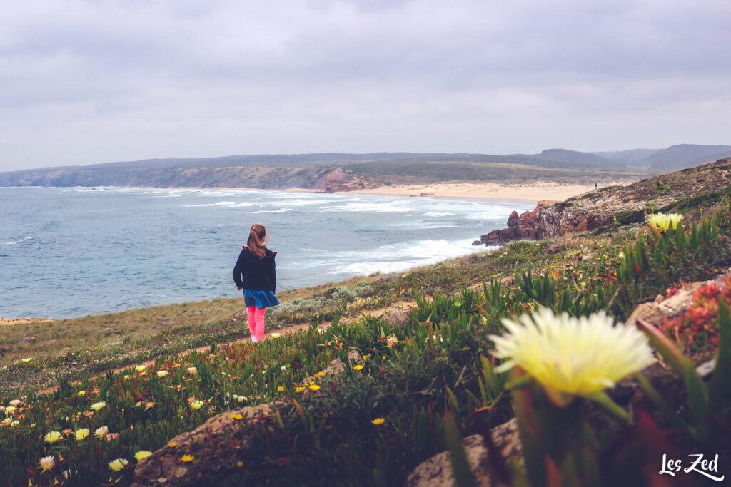 Falaises, fleurs et plage. La côte vicentine dans toute sa splendeur