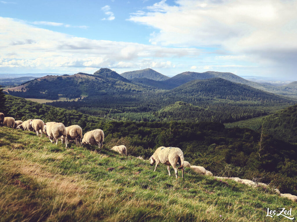 Au sommet du puy Pariou