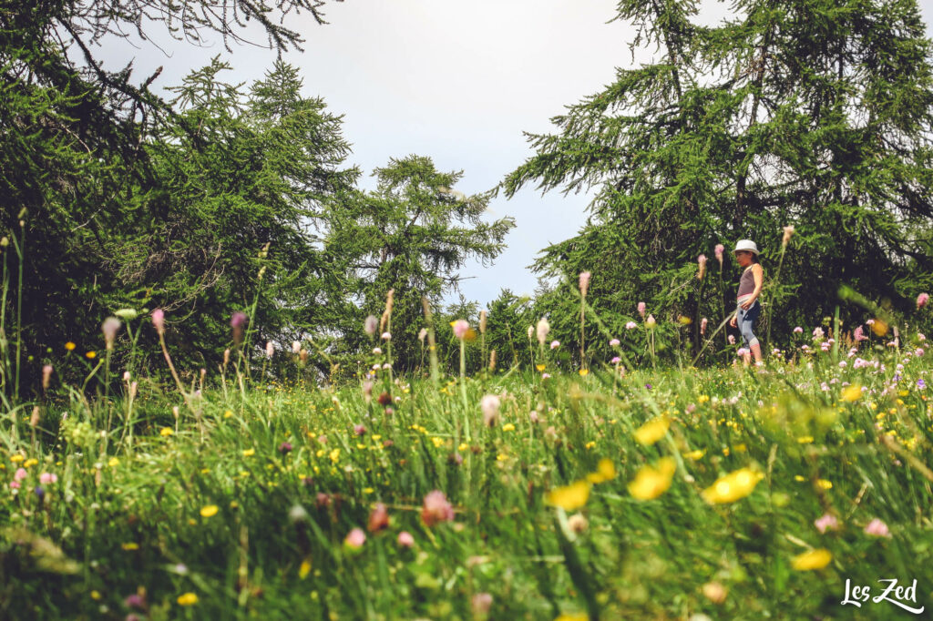 Fleurs et enfant dans les alpes en Italie