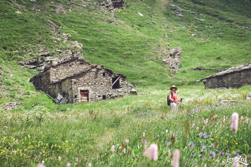 Prairie et vieilles batisses