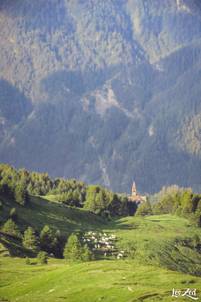 Vue de là-haut