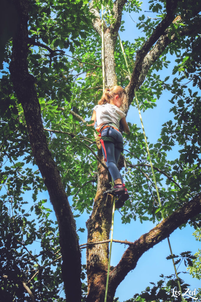 Chloé grimpe les arbres (Leuglay)
