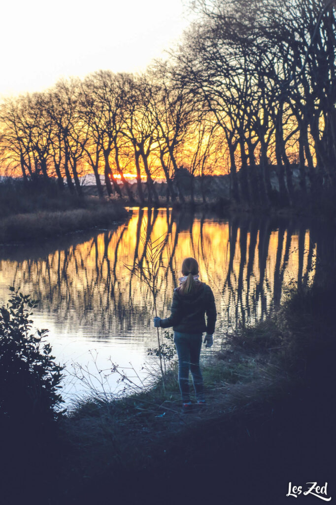 Coucher de soleil sur le Canal du Midi