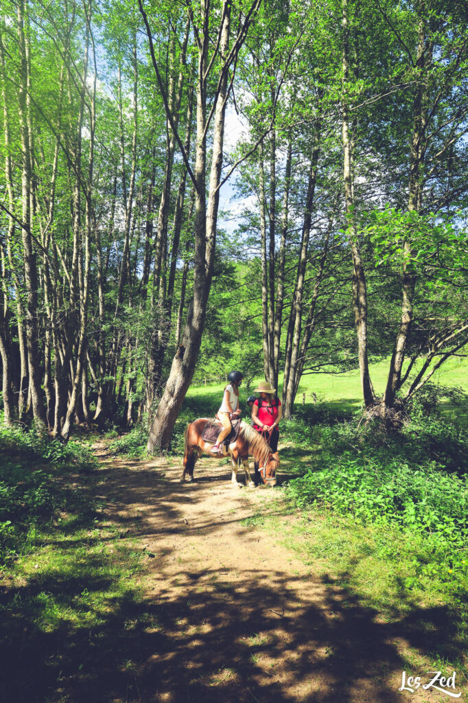 Poney en famille dans les Monts du Lyonnais