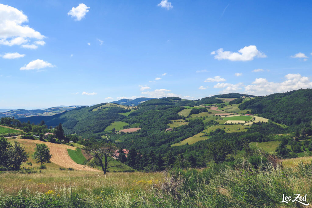 Vallée du Garon depuis Yzeron