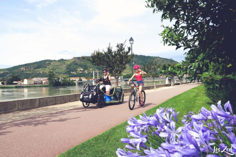 La ViaRhôna sur un vélo pas comme les autres : on teste le handbike électrique Benur Benur sur la ViaRhona Tain-l'Hermitage