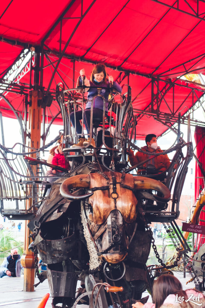 Toulouse Halle de la Machine manege carre enfant