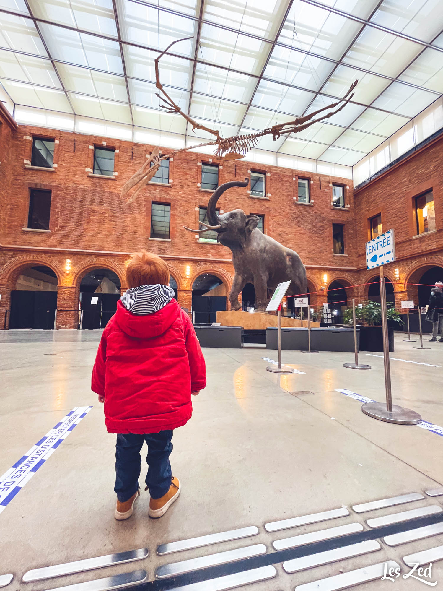 Toulouse Museum avec enfant musee histoire naturelle