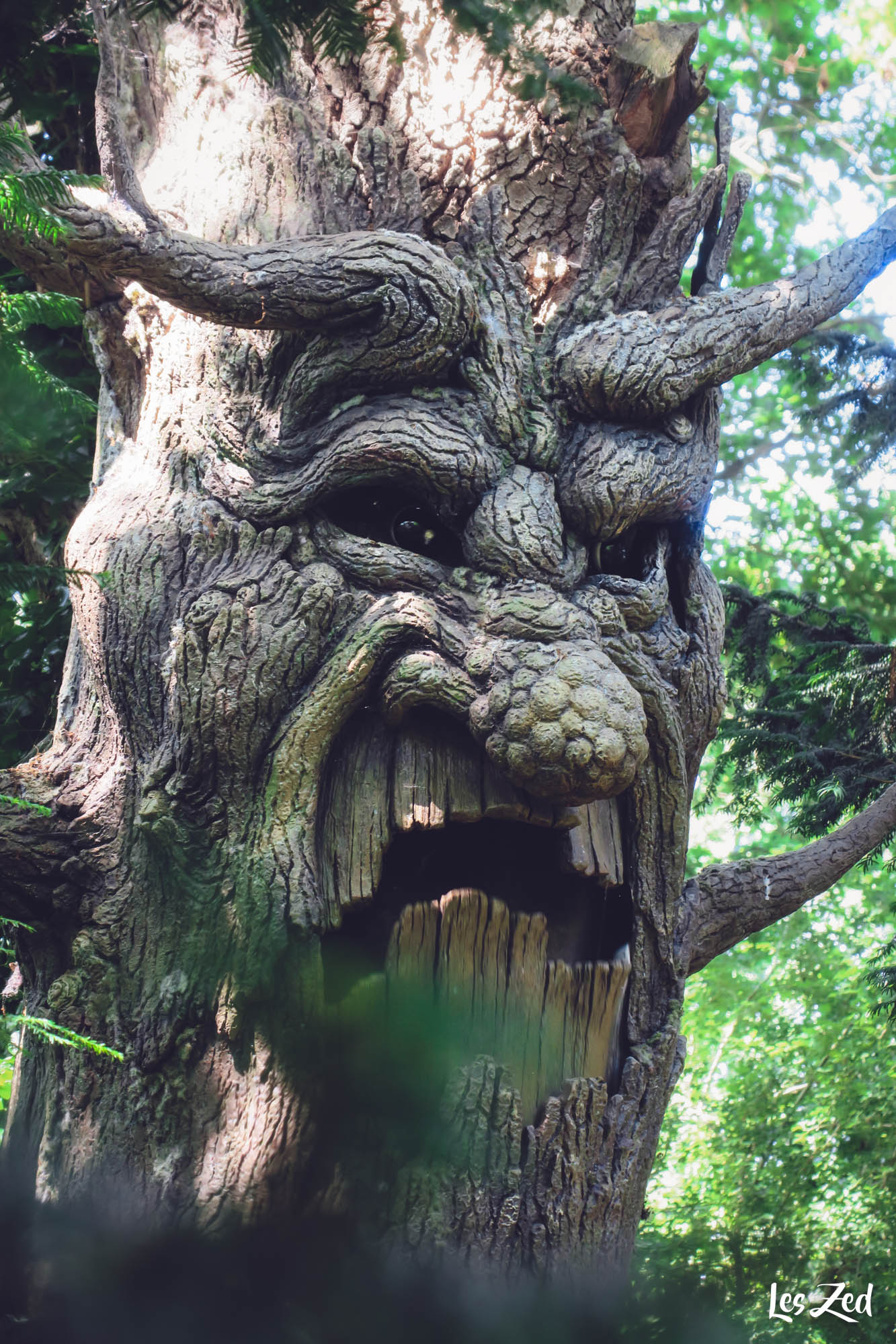 Efteling Bois des contes decors