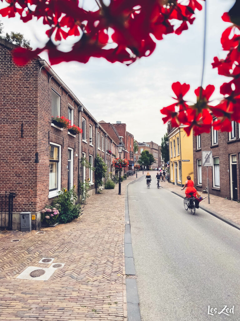 Jolie ruelle (Wijde Doelen)