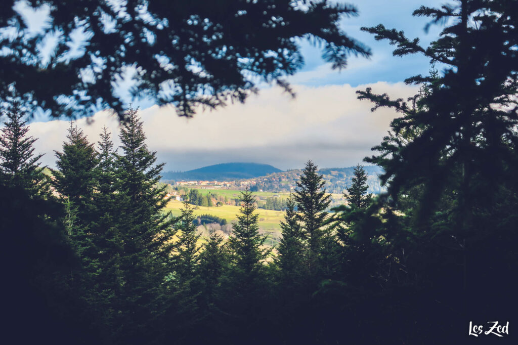 Paysage du Pilat au milieu de la foret