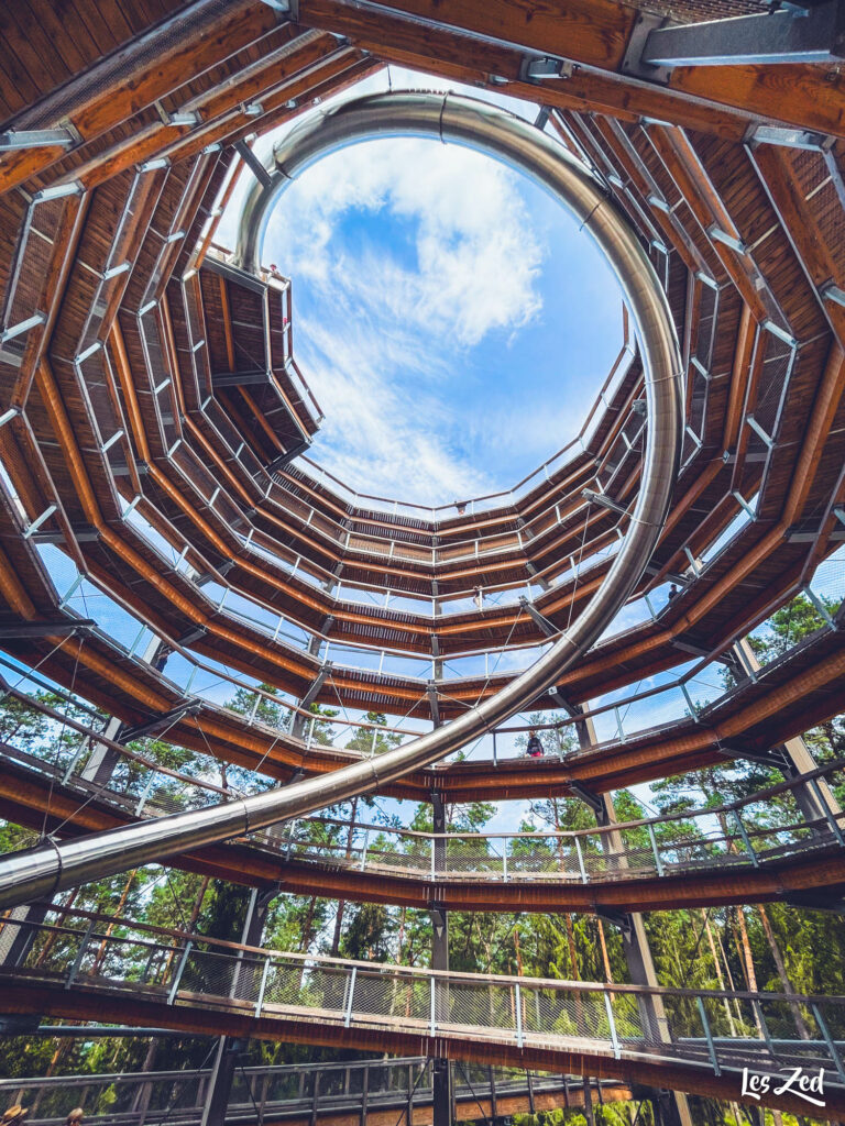 Autour de Strasbourg Chemin des Cimes Alsace toboggan vue dessou