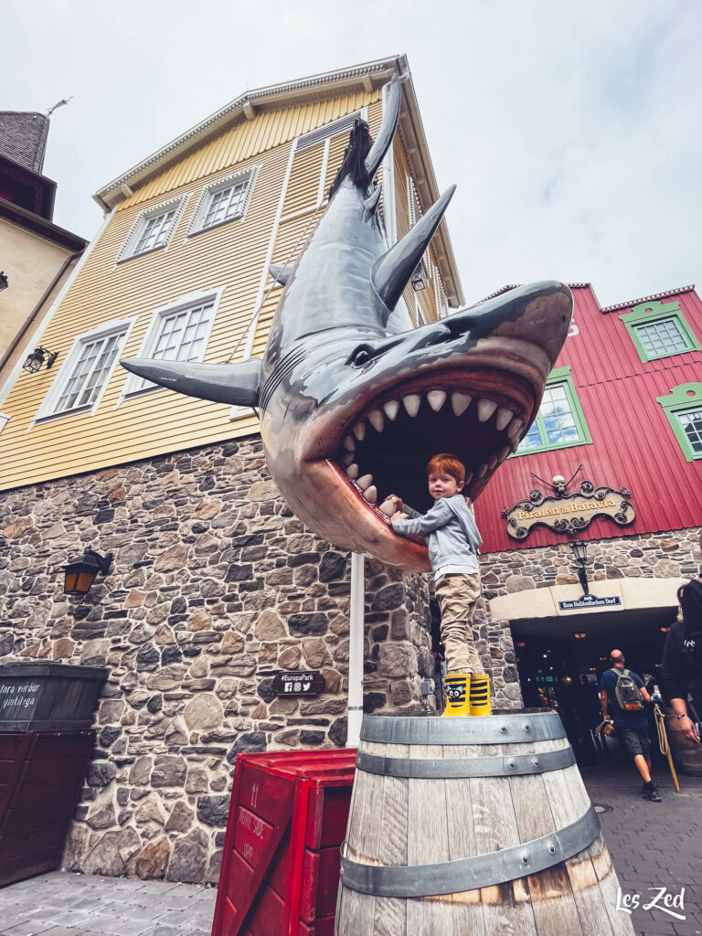 Autour de Strasbourg Europa Park enfant