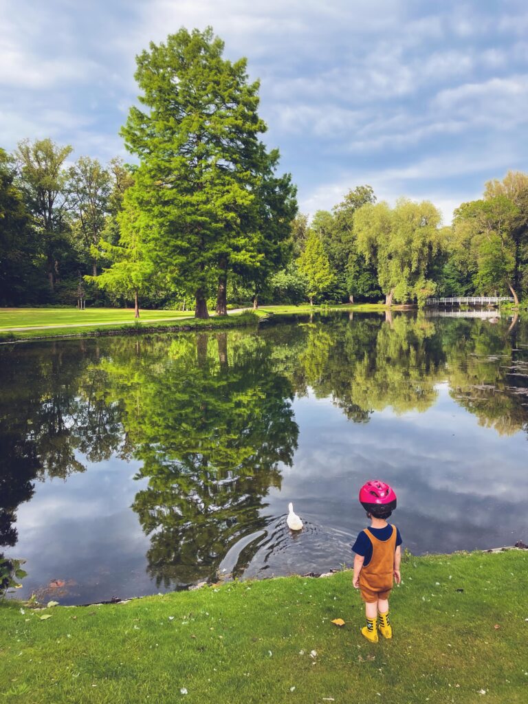 overijssel-pays-bas - Rijssen parc Volkspark canard