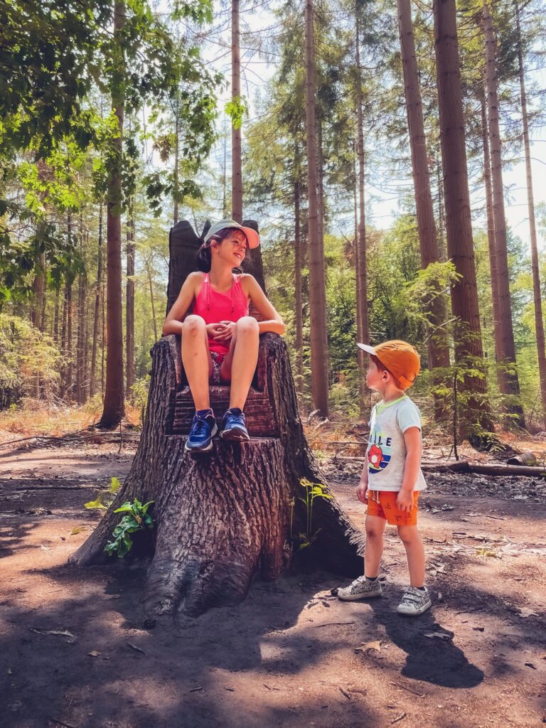 overijssel-pays-bas - Speelbos Sallandse Heuvelrug enfants foret