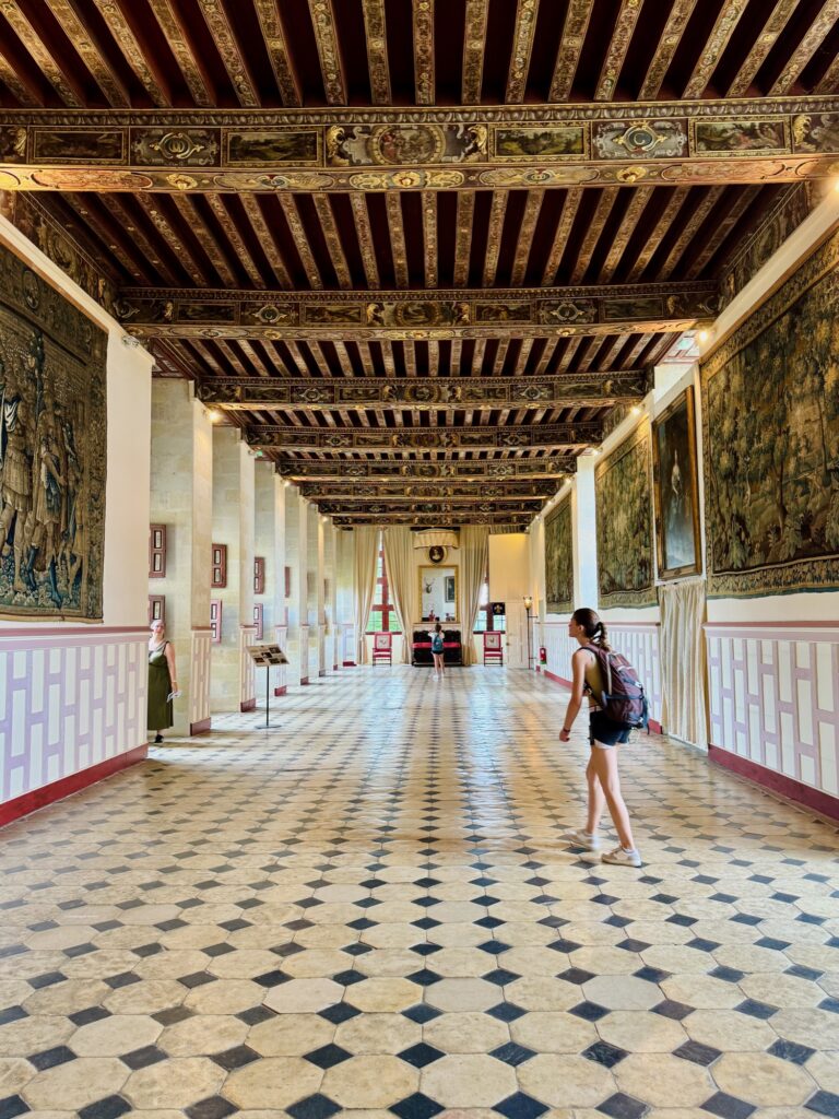 Autour de Cholet - Château de Brissac adolescente visite