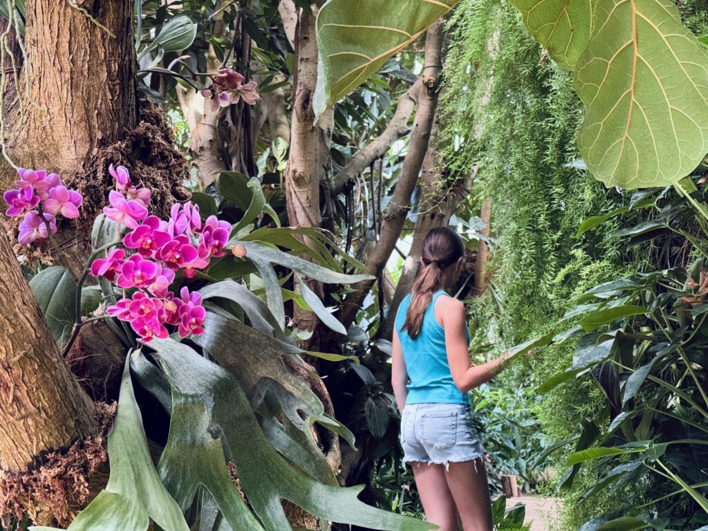Autour de Cholet - Terra Botanica serre tropicale