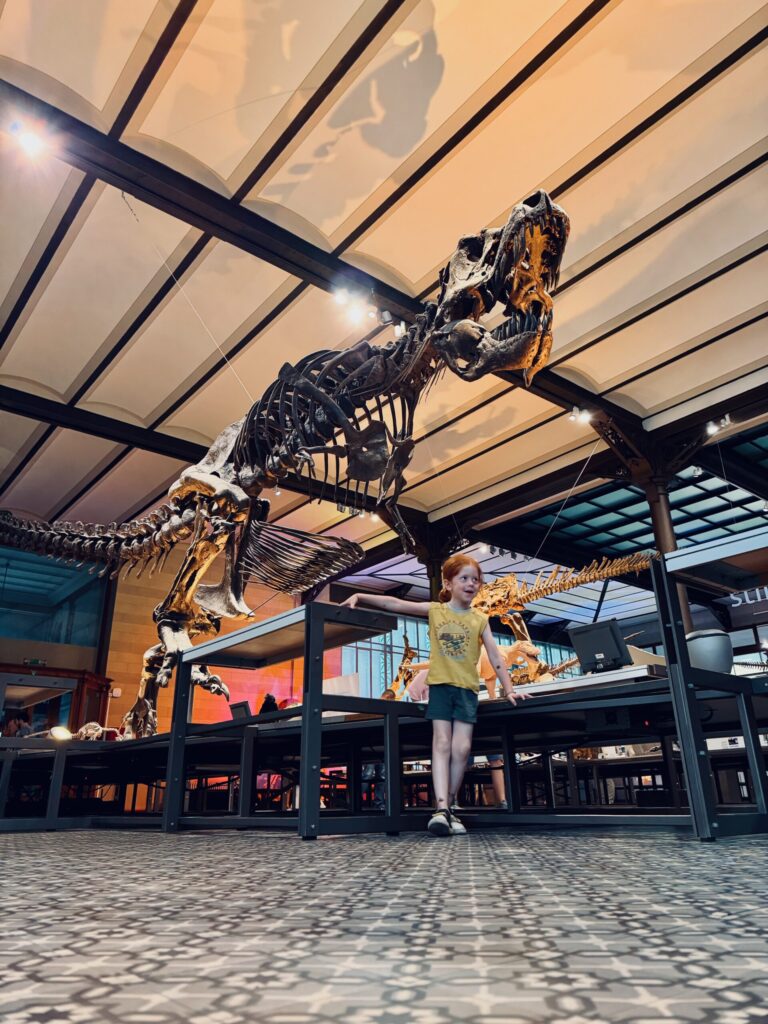 Bruxelles Institut royal des Sciences naturelles de Belgique enfant dinosaure